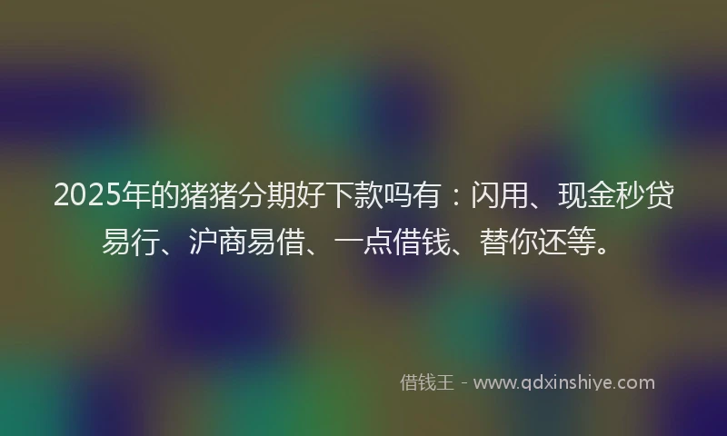 2025年的猪猪分期好下款吗有：闪用、现金秒贷易行、沪商易借、一点借钱、替你还等。