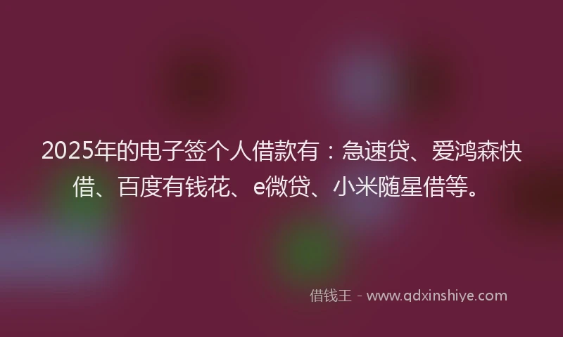2025年的电子签个人借款有：急速贷、爱鸿森快借、百度有钱花、e微贷、小米随星借等。