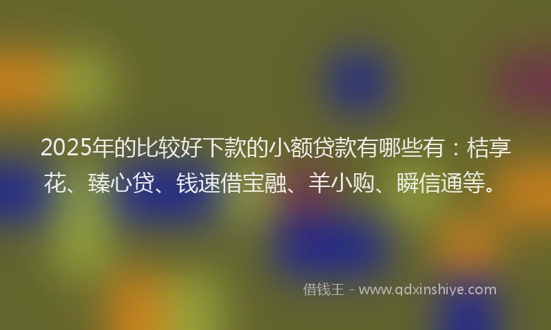 2025年的比较好下款的小额贷款有哪些有：桔享花、臻心贷、钱速借宝融、羊小购、瞬信通等。