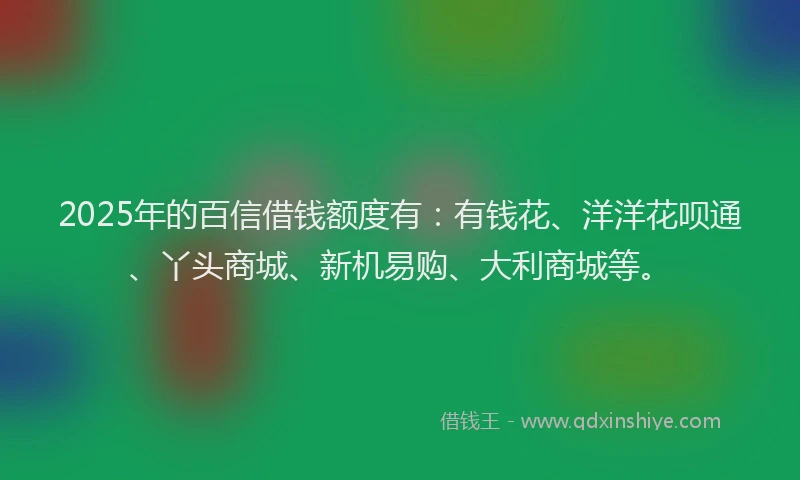 2025年的百信借钱额度有：有钱花、洋洋花呗通、丫头商城、新机易购、大利商城等。