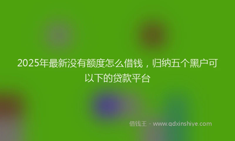 2025年最新没有额度怎么借钱，归纳五个黑户可以下的贷款平台