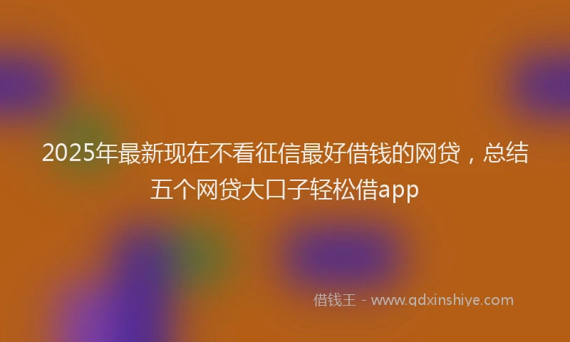2025年最新现在不看征信最好借钱的网贷，总结五个网贷大口子轻松借app