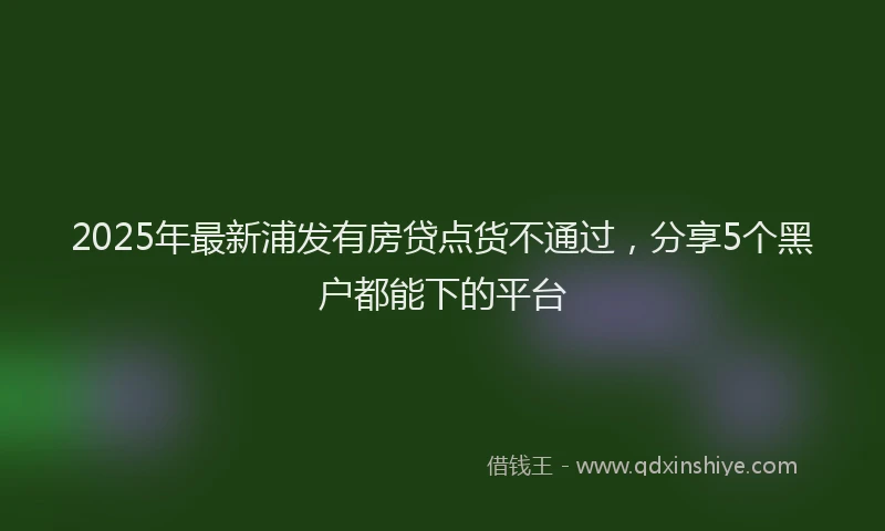 2025年最新浦发有房贷点货不通过，分享5个黑户都能下的平台
