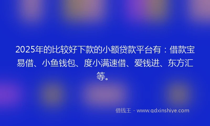 2025年的比较好下款的小额贷款平台有：借款宝易借、小鱼钱包、度小满速借、爱钱进、东方汇等。