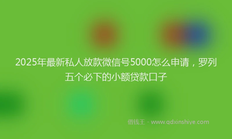 2025年最新私人放款微信号5000怎么申请，罗列五个必下的小额贷款口子