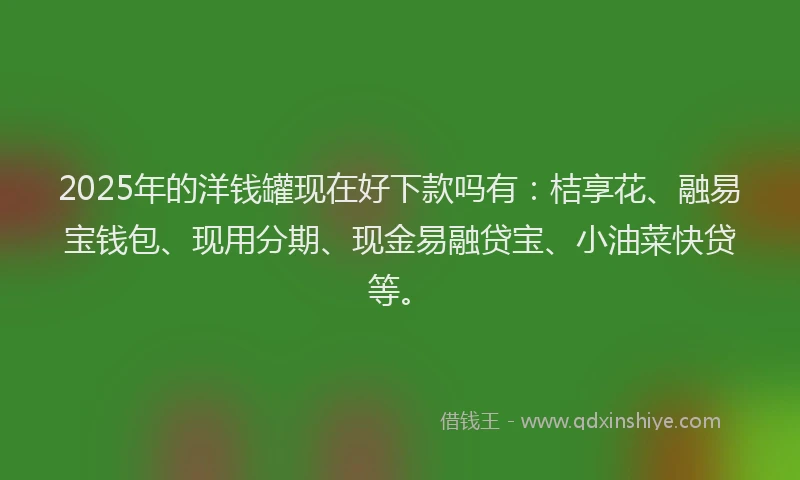 2025年的洋钱罐现在好下款吗有：桔享花、融易宝钱包、现用分期、现金易融贷宝、小油菜快贷等。