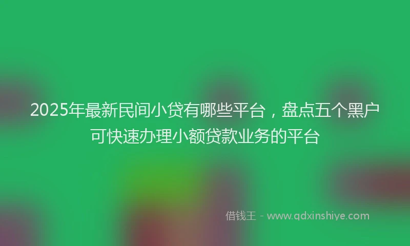 2025年最新民间小贷有哪些平台，盘点五个黑户可快速办理小额贷款业务的平台