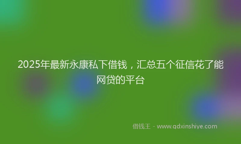 2025年最新永康私下借钱，汇总五个征信花了能网贷的平台