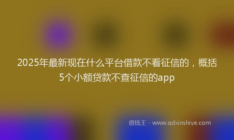 2025年最新现在什么平台借款不看征信的，概括5个小额贷款不查征信的app