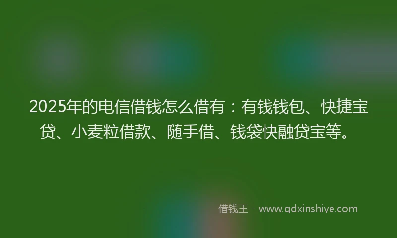 2025年的电信借钱怎么借有：有钱钱包、快捷宝贷、小麦粒借款、随手借、钱袋快融贷宝等。