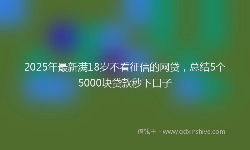 2025年最新满18岁不看征信的网贷，总结5个5000块贷款秒下口子