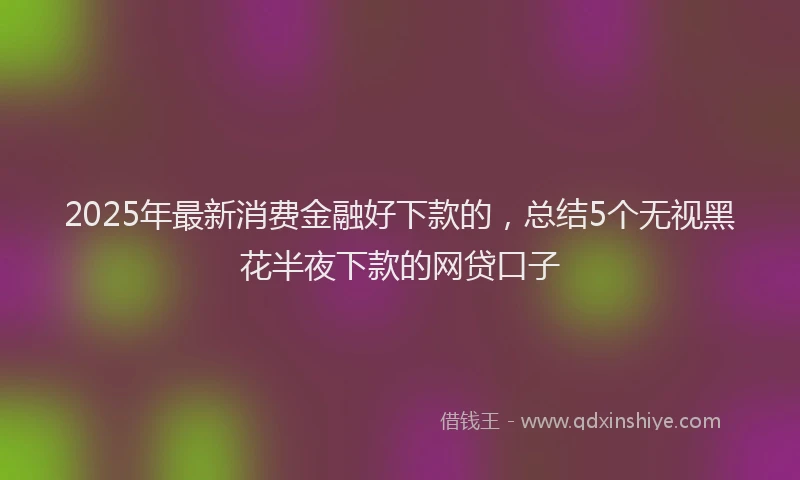 2025年最新消费金融好下款的,总结5个无视黑花半夜下款的网贷口子