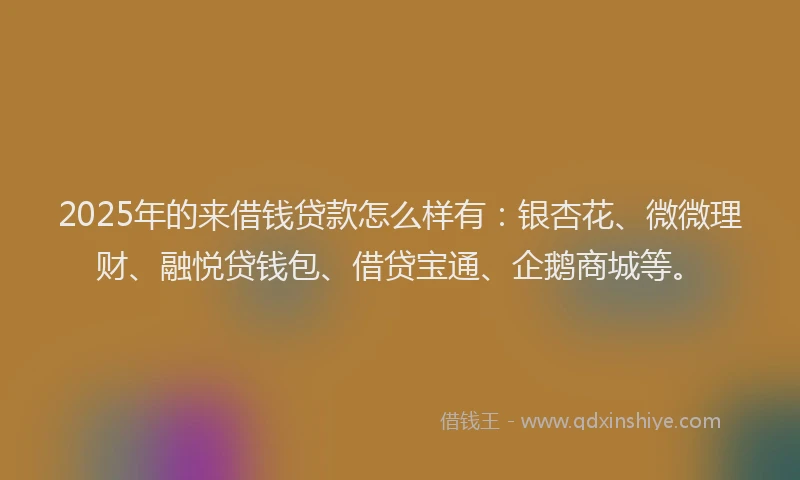 2025年的来借钱贷款怎么样有：银杏花、微微理财、融悦贷钱包、借贷宝通、企鹅商城等。