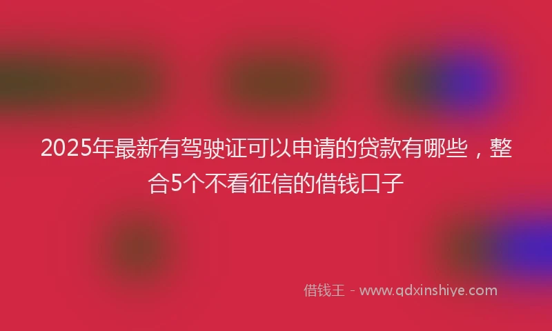 2025年最新有驾驶证可以申请的贷款有哪些，整合5个不看征信的借钱口子