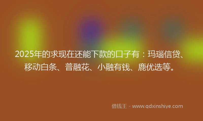 2025年的求现在还能下款的口子有：玛瑙信贷、移动白条、普融花、小融有钱、鹿优选等。