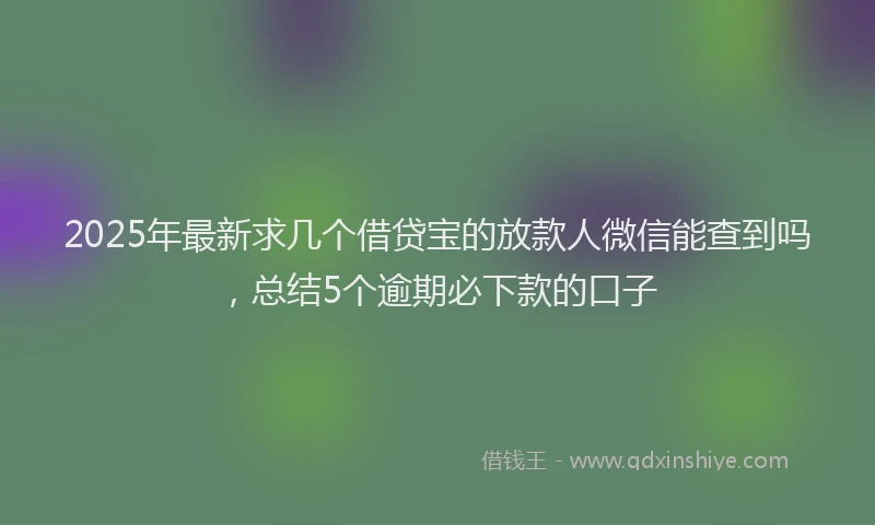 2025年最新求几个借贷宝的放款人微信能查到吗，总结5个逾期必下款的口子