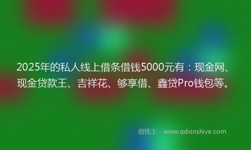 2025年的私人线上借条借钱5000元有：现金网、现金贷款王、吉祥花、够享借、鑫贷Pro钱包等。