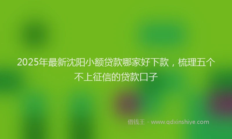 2025年最新沈阳小额贷款哪家好下款,梳理五个不上征信的贷款口子