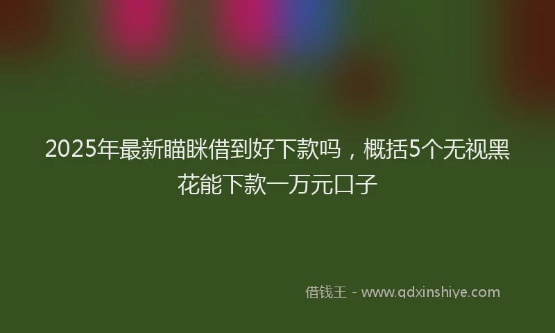 2025年最新瞄眯借到好下款吗，概括5个无视黑花能下款一万元口子