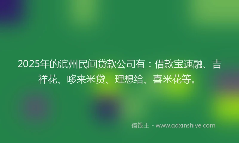 2025年的滨州民间贷款公司有：借款宝速融、吉祥花、哆来米贷、理想给、喜米花等。