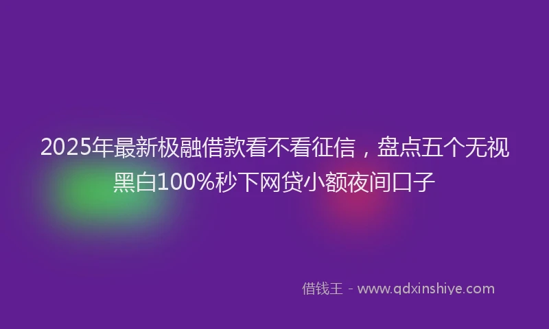 2025年最新极融借款看不看征信，盘点五个无视黑白100%秒下网贷小额夜间口子