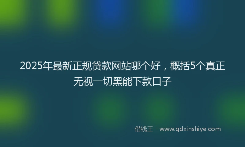 2025年最新正规贷款网站哪个好，概括5个真正无视一切黑能下款口子