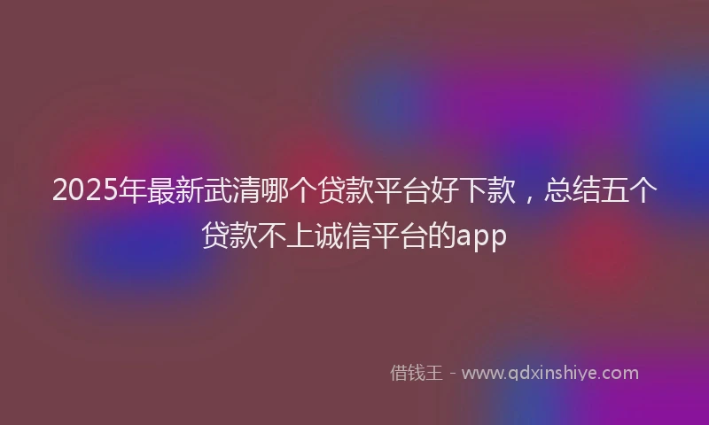2025年最新武清哪个贷款平台好下款，总结五个贷款不上诚信平台的app