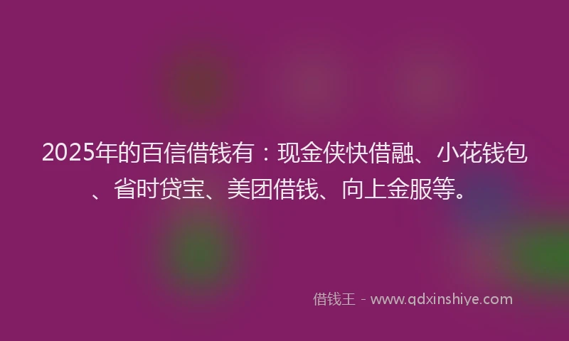 2025年的百信借钱有：现金侠快借融、小花钱包、省时贷宝、美团借钱、向上金服等。