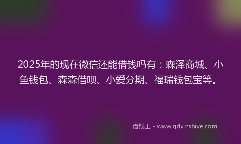 2025年的现在微信还能借钱吗有：森泽商城、小鱼钱包、森森借呗、小爱分期、福瑞钱包宝等。