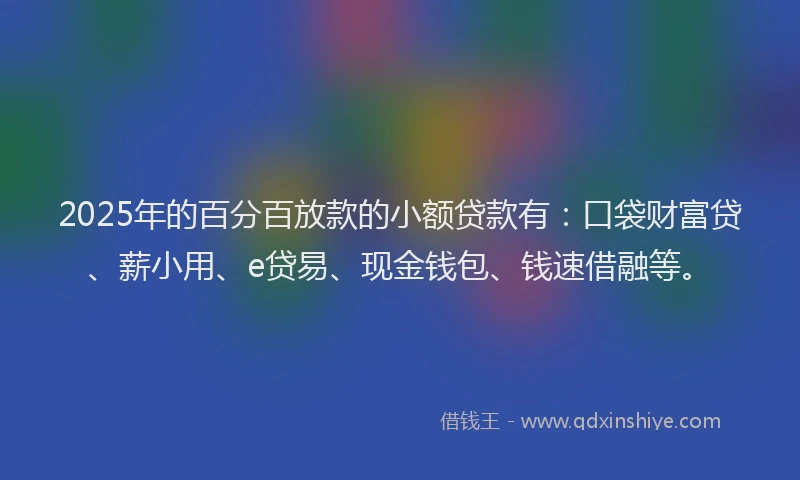 2025年的百分百放款的小额贷款有：口袋财富贷、薪小用、e贷易、现金钱包、钱速借融等。