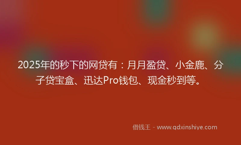 2025年的秒下的网贷有：月月盈贷、小金鹿、分子贷宝盒、迅达Pro钱包、现金秒到等。