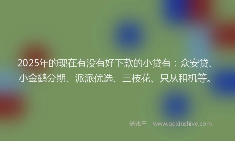 2025年的现在有没有好下款的小贷有：众安贷、小金鹤分期、派派优选、三枝花、只从租机等。