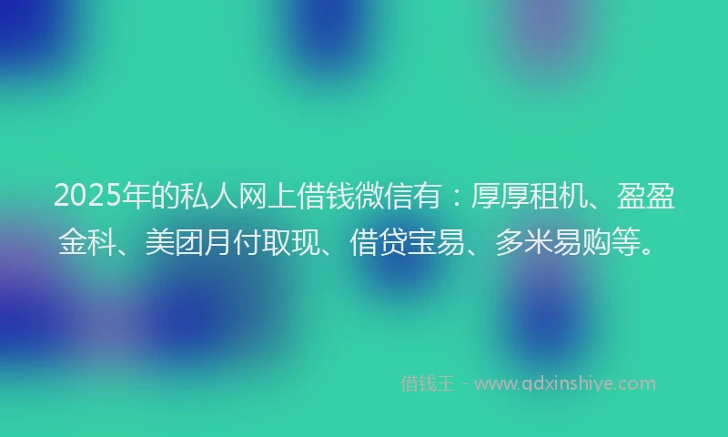 2025年的私人网上借钱微信有：厚厚租机、盈盈金科、美团月付取现、借贷宝易、多米易购等。
