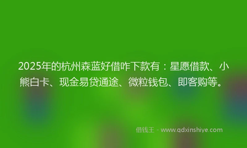 2025年的杭州森蓝好借咋下款有：星愿借款、小熊白卡、现金易贷通途、微粒钱包、即客购等。