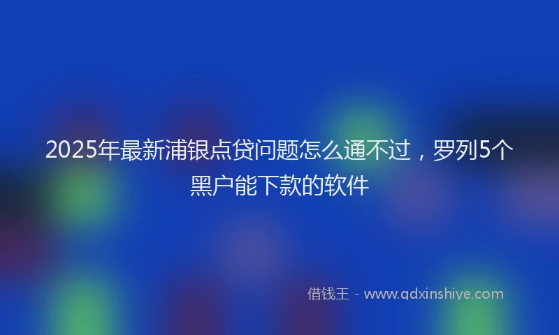 2025年最新浦银点贷问题怎么通不过，罗列5个黑户能下款的软件