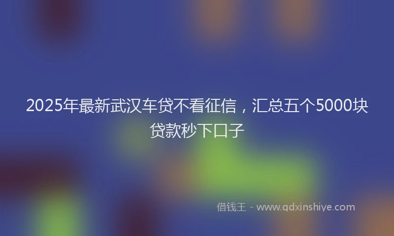 2025年最新武汉车贷不看征信，汇总五个5000块贷款秒下口子