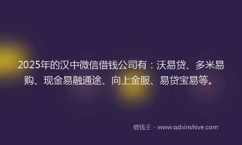 2025年的汉中微信借钱公司有：沃易贷、多米易购、现金易融通途、向上金服、易贷宝易等。