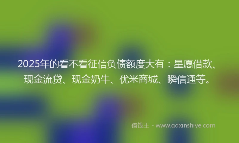 2025年的看不看征信负债额度大有：星愿借款、现金流贷、现金奶牛、优米商城、瞬信通等。