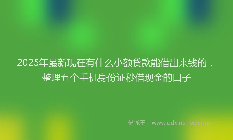 2025年最新现在有什么小额贷款能借出来钱的，整理五个手机身份证秒借现金的口子