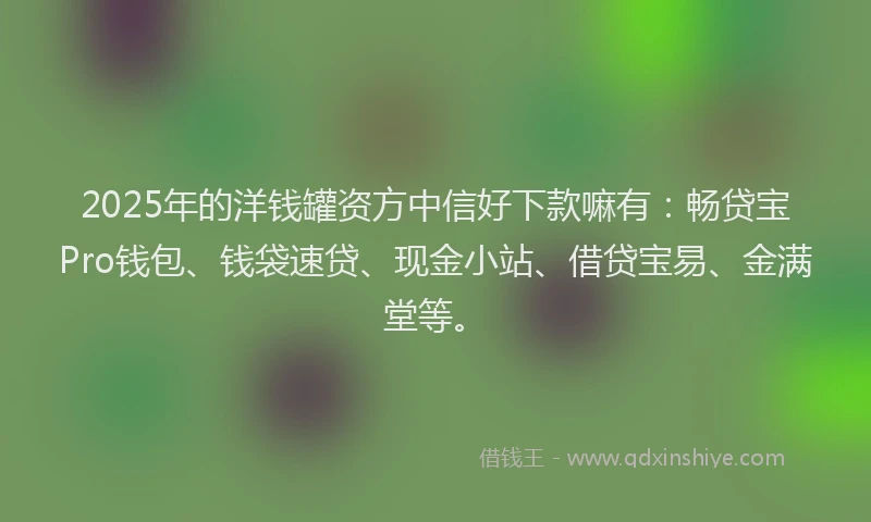 2025年的洋钱罐资方中信好下款嘛有：畅贷宝Pro钱包、钱袋速贷、现金小站、借贷宝易、金满堂等。