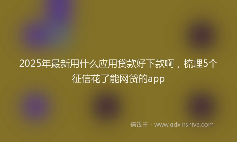2025年最新用什么应用贷款好下款啊，梳理5个征信花了能网贷的app