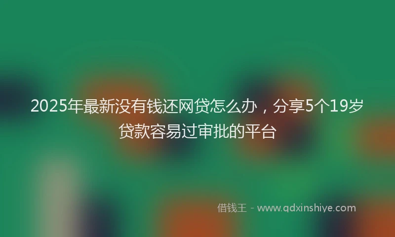 2025年最新没有钱还网贷怎么办，分享5个19岁贷款容易过审批的平台