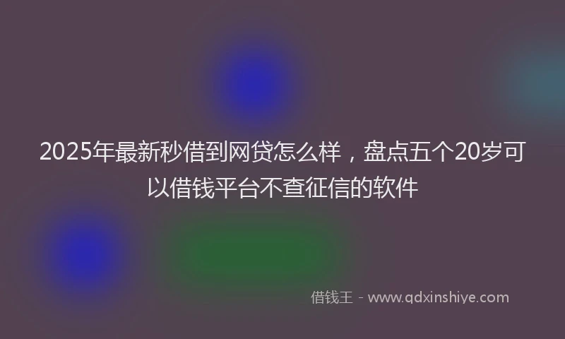 2025年最新秒借到网贷怎么样，盘点五个20岁可以借钱平台不查征信的软件