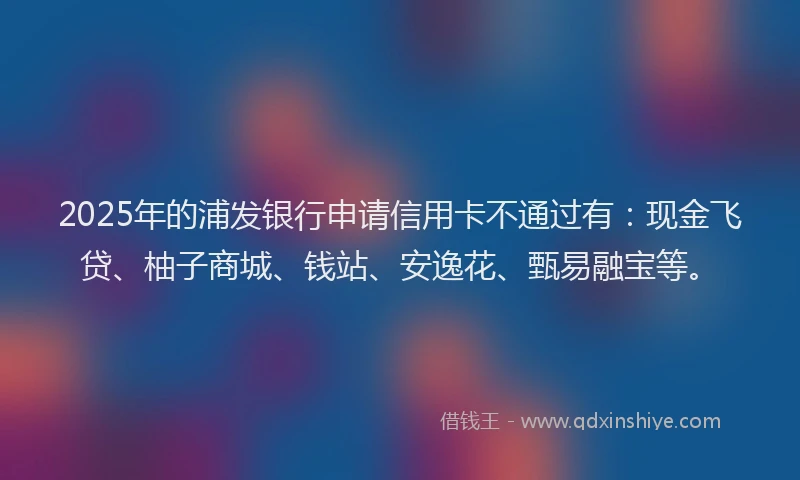 2025年的浦发银行申请信用卡不通过有：现金飞贷、柚子商城、钱站、安逸花、甄易融宝等。