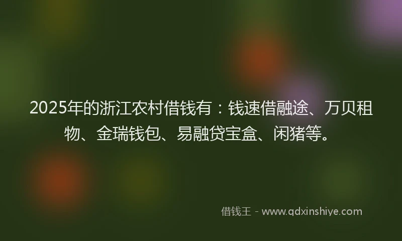 2025年的浙江农村借钱有：钱速借融途、万贝租物、金瑞钱包、易融贷宝盒、闲猪等。