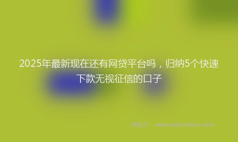 2025年最新现在还有网贷平台吗，归纳5个快速下款无视征信的口子