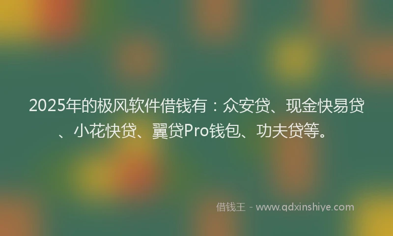 2025年的极风软件借钱有：众安贷、现金快易贷、小花快贷、翼贷Pro钱包、功夫贷等。