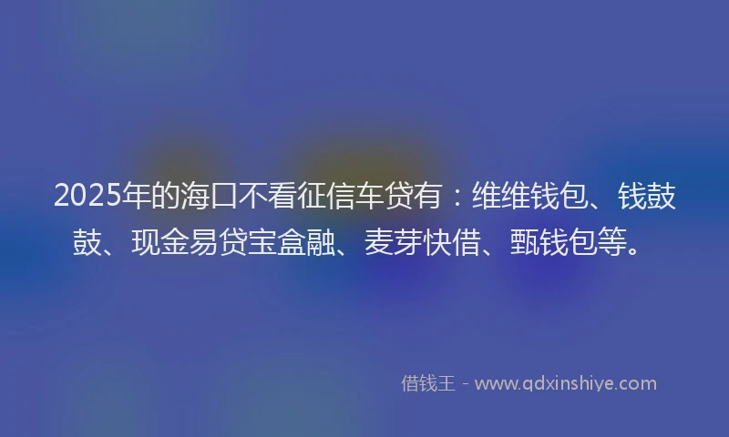 2025年的海口不看征信车贷有：维维钱包、钱鼓鼓、现金易贷宝盒融、麦芽快借、甄钱包等。