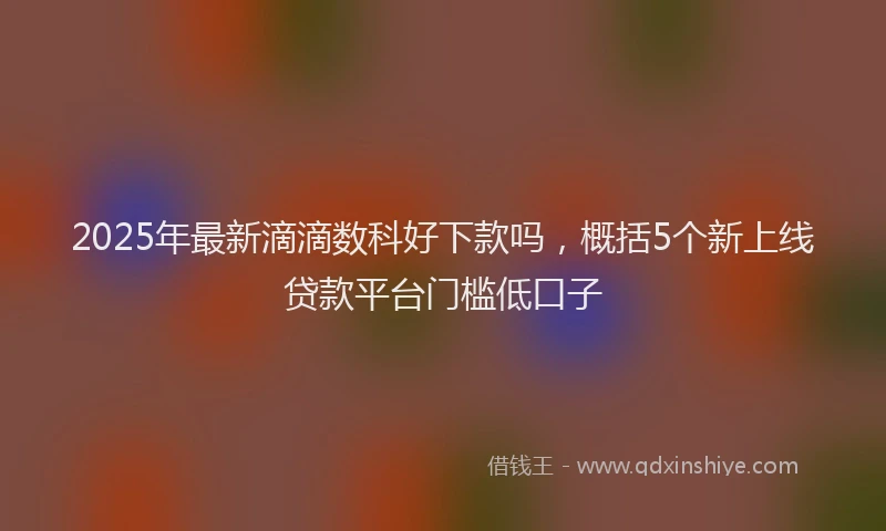 2025年最新滴滴数科好下款吗，概括5个新上线贷款平台门槛低口子