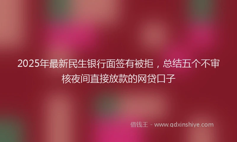 2025年最新民生银行面签有被拒，总结五个不审核夜间直接放款的网贷口子